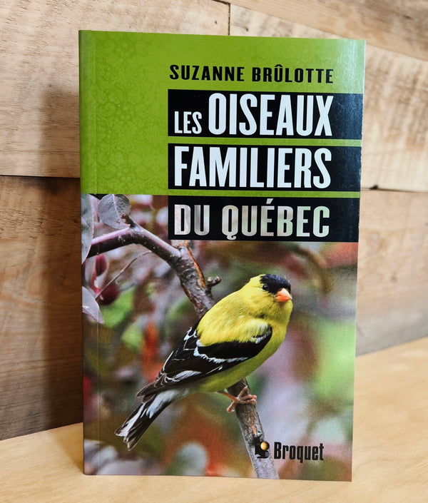 Les oiseaux familiers du Québec - Suzanne Brûlotte - Book