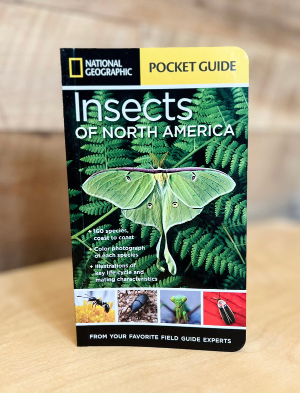 National Geographic Pocket Guide Insects of North America - Livre