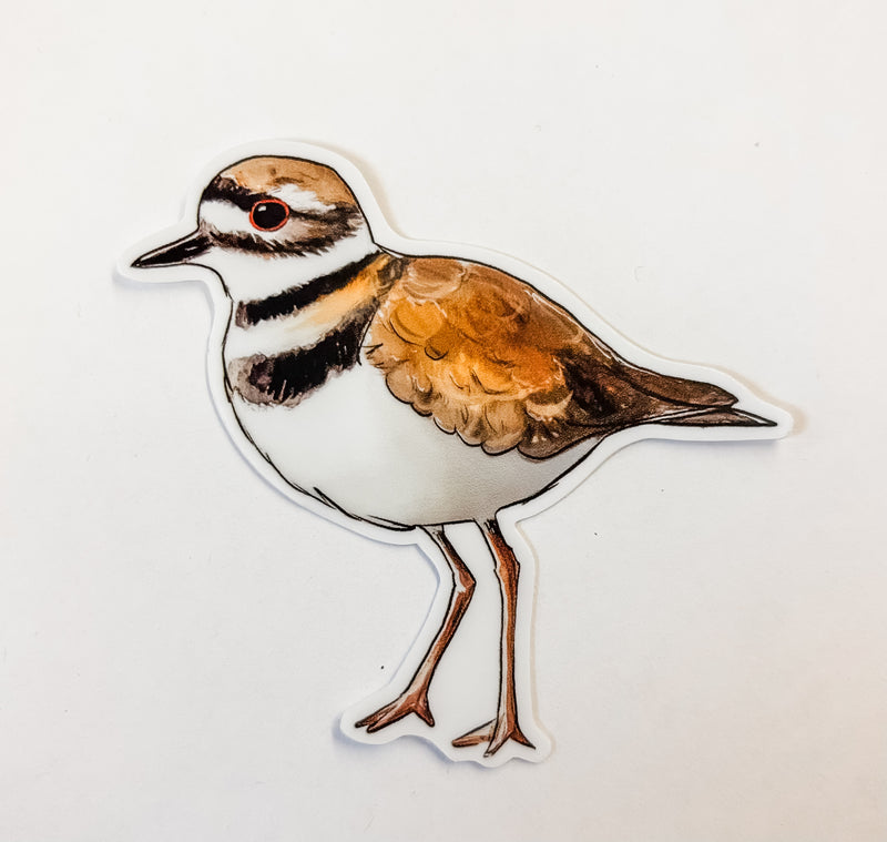 Bird Stickers - Weiyi Liu