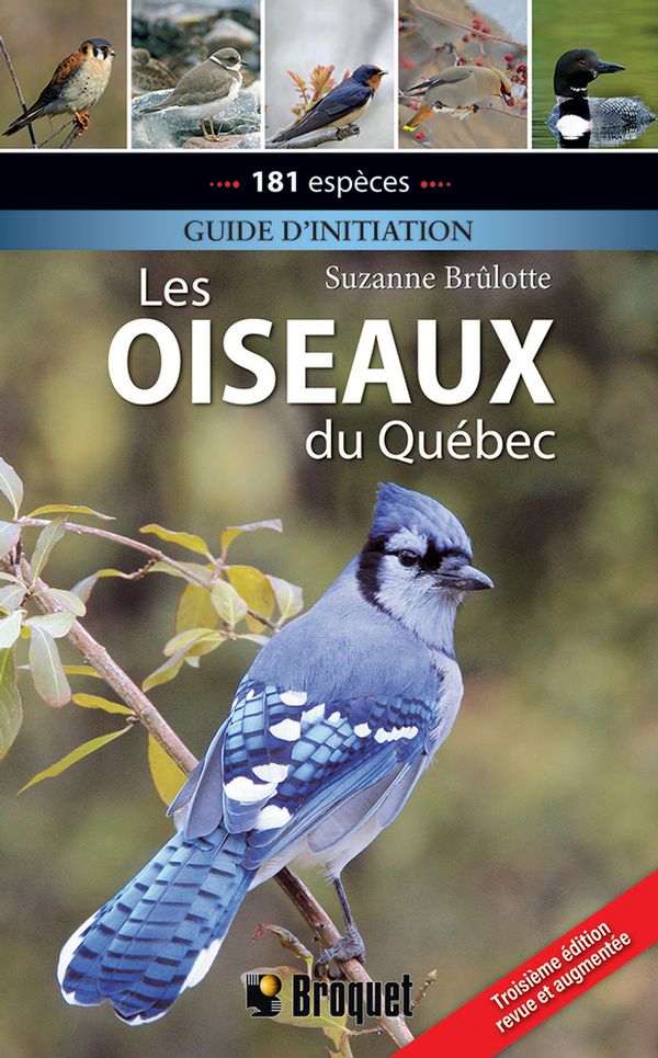 Les oiseaux du Québec, 3e édition - Suzanne Brûlotte - Book