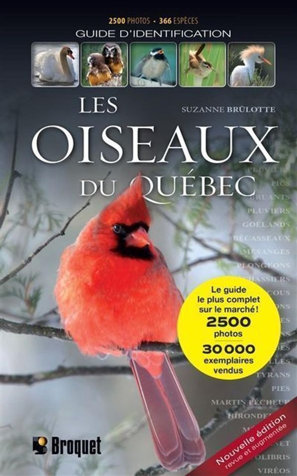 Oiseaux du Québec Les (Guide d'identification le plus complet)  - Suzanne Brûlotte - Book