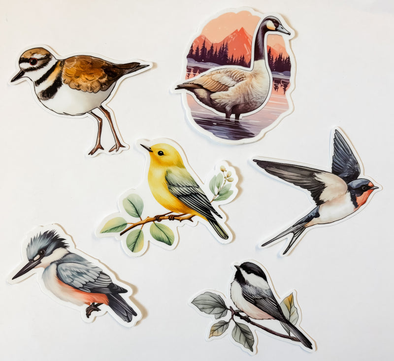 Bird Stickers - Weiyi Liu