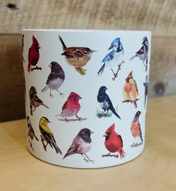 North American Birds Planter