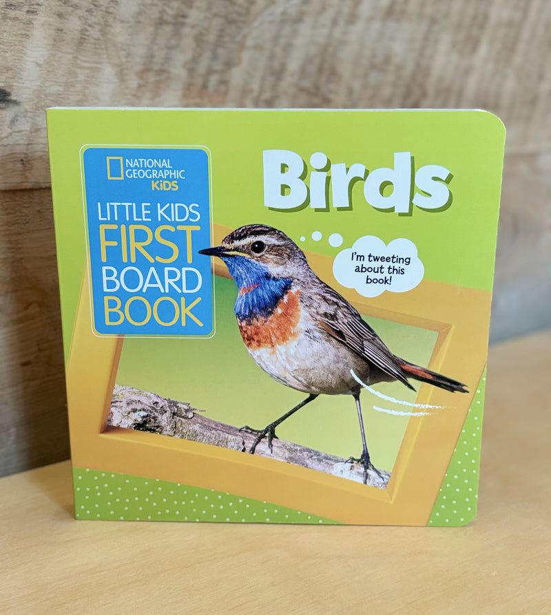 Little Kids First Board Book - Birds - Livre