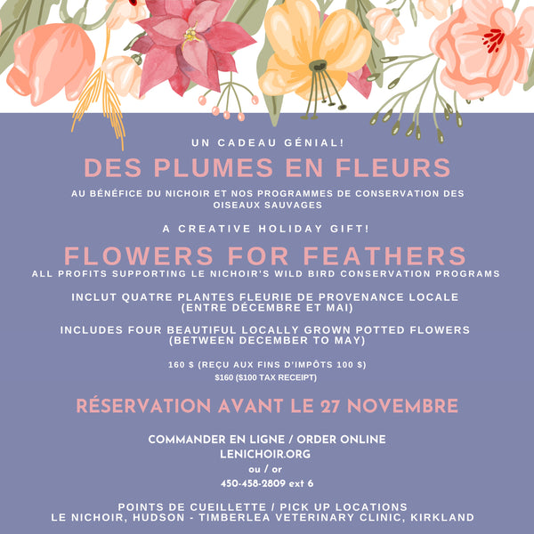 Des Plumes en Fleurs