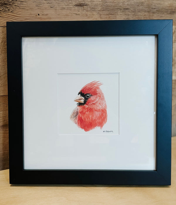 M. Brewer watercolour- Male Cardinal