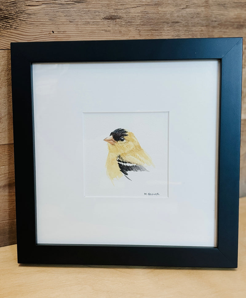 M. Brewer watercolour- Goldfinch