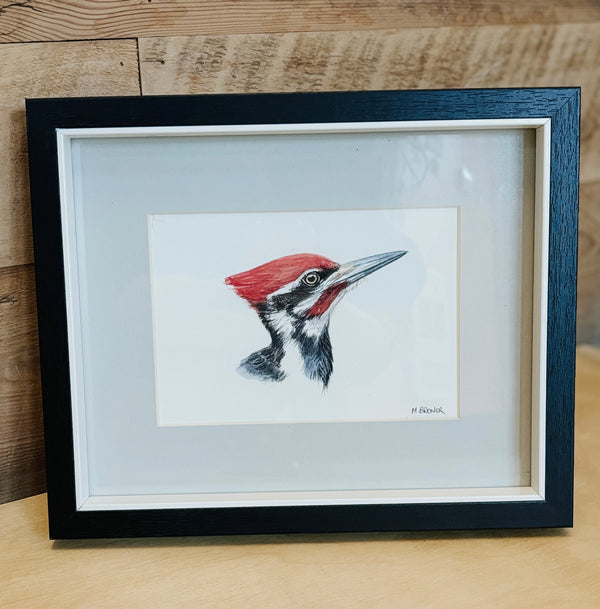 M. Brewer watercolour- Pileated Woodpecker