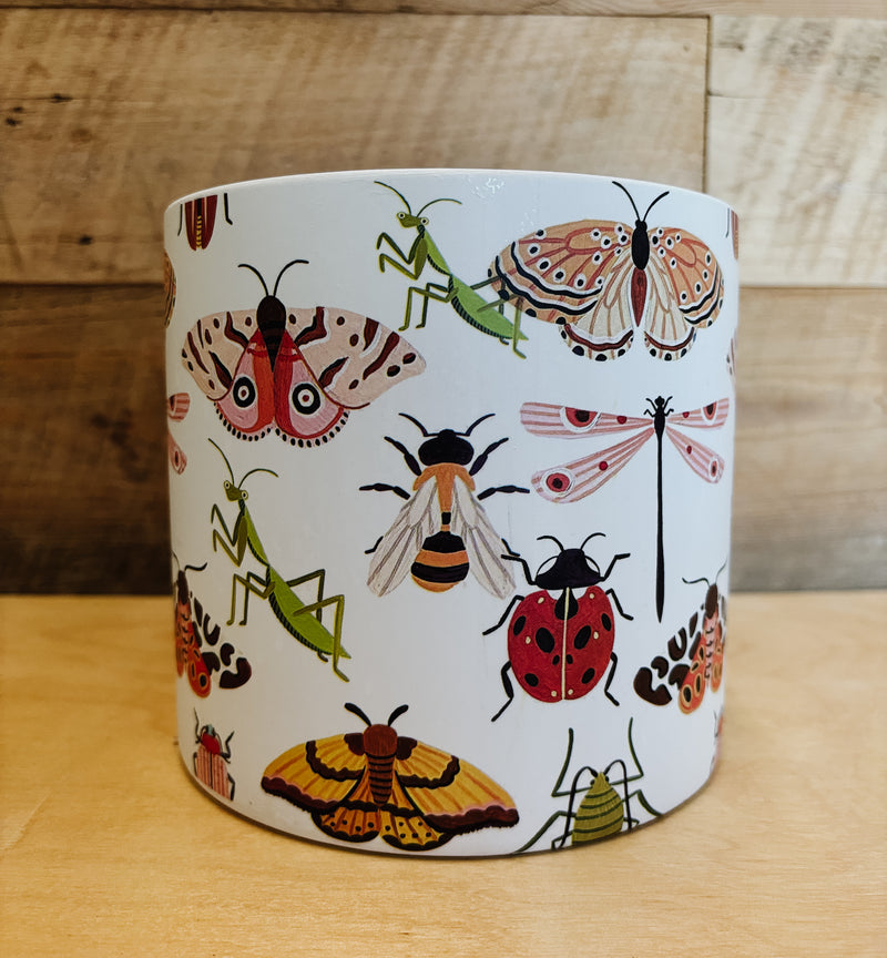 Grand pot de insectes