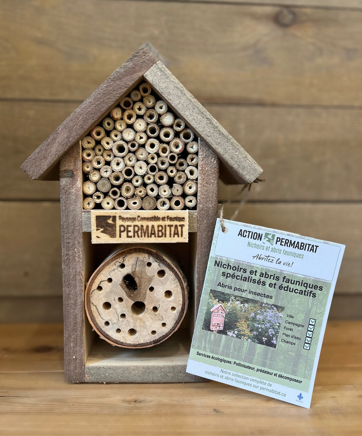 Nesting – Le Nichoir