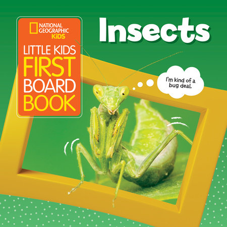 National Geographic Kids Little Kids First Board Book: Insects - Book