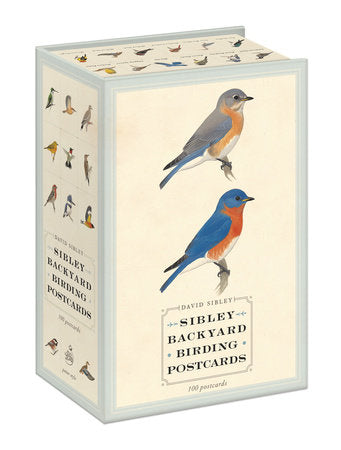 Cartes postales d'observation des oiseaux dans le jardin Sibley