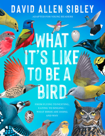 What It's Like to Be a Bird (Adapted for Young Readers) - Book