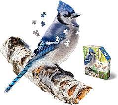 Puzzle - JE SUIS Blue Jay - 300 pièces