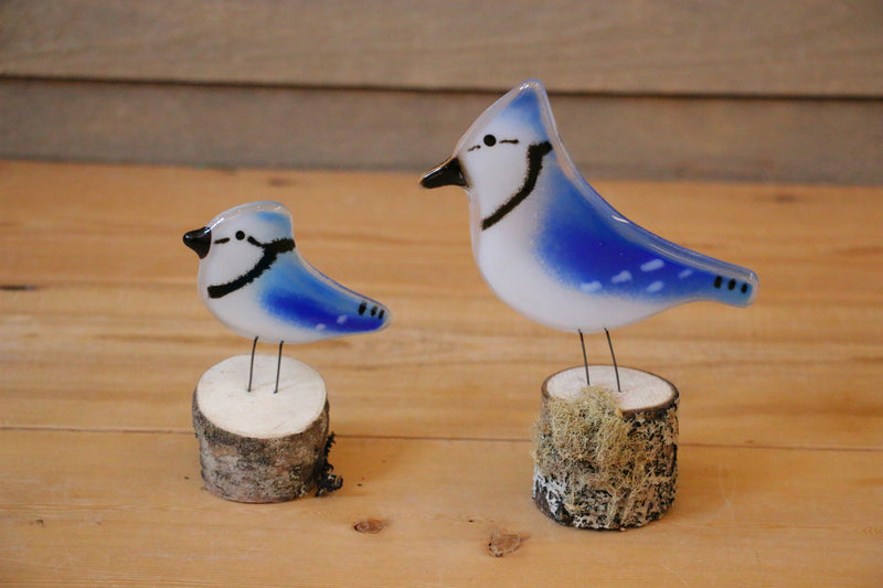 The Glass Bakery - Perched Blue Jay - Adult