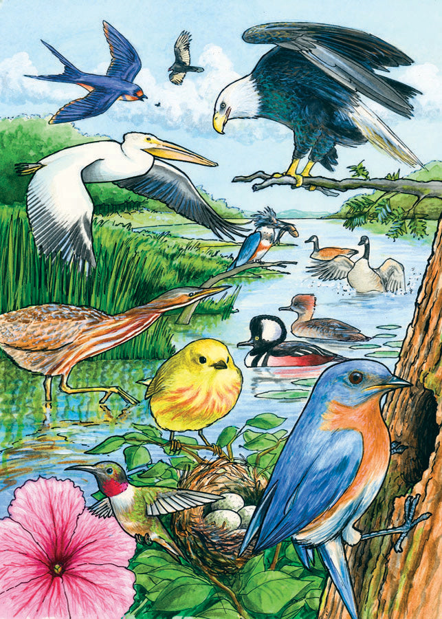 Casse-tête avec plateau - North American Birds - 35 morceaux