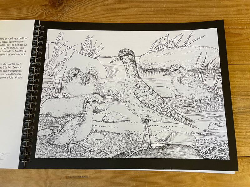 Colouring Book: Wonderful Waterbirds to Colour