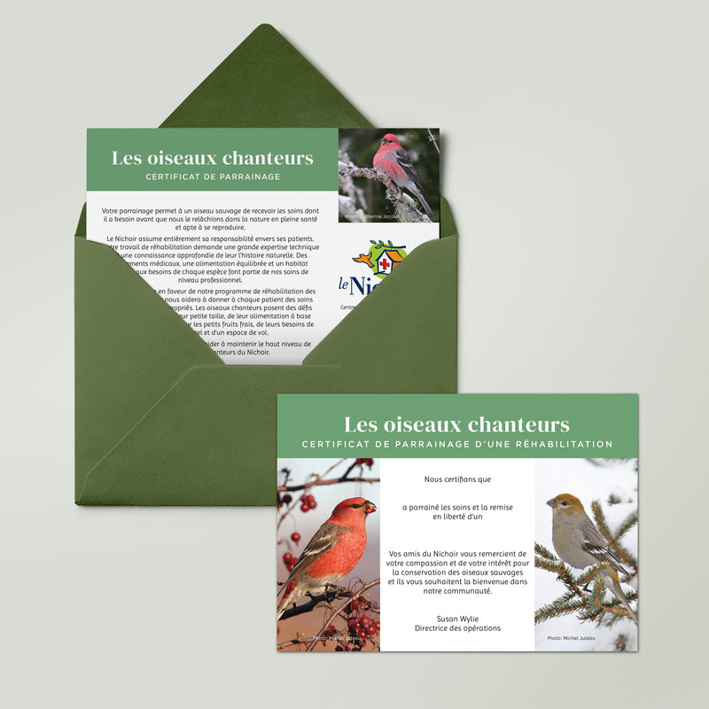 Spécial des fêtes - Parrainage d'oiseaux chanteurs - Durbec des sapins