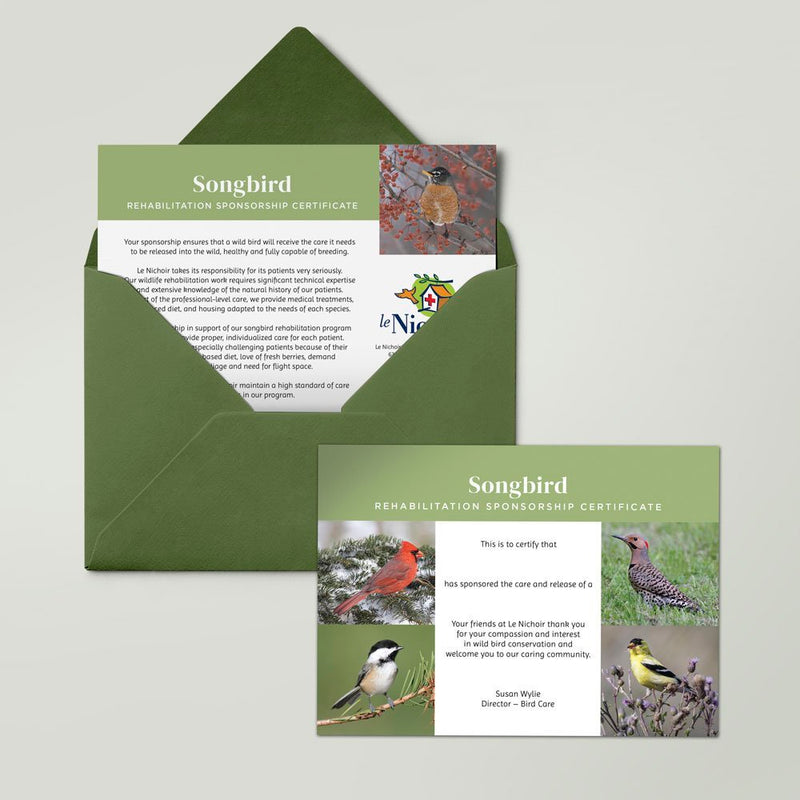 Songbird Sponsorship - American Goldfinch