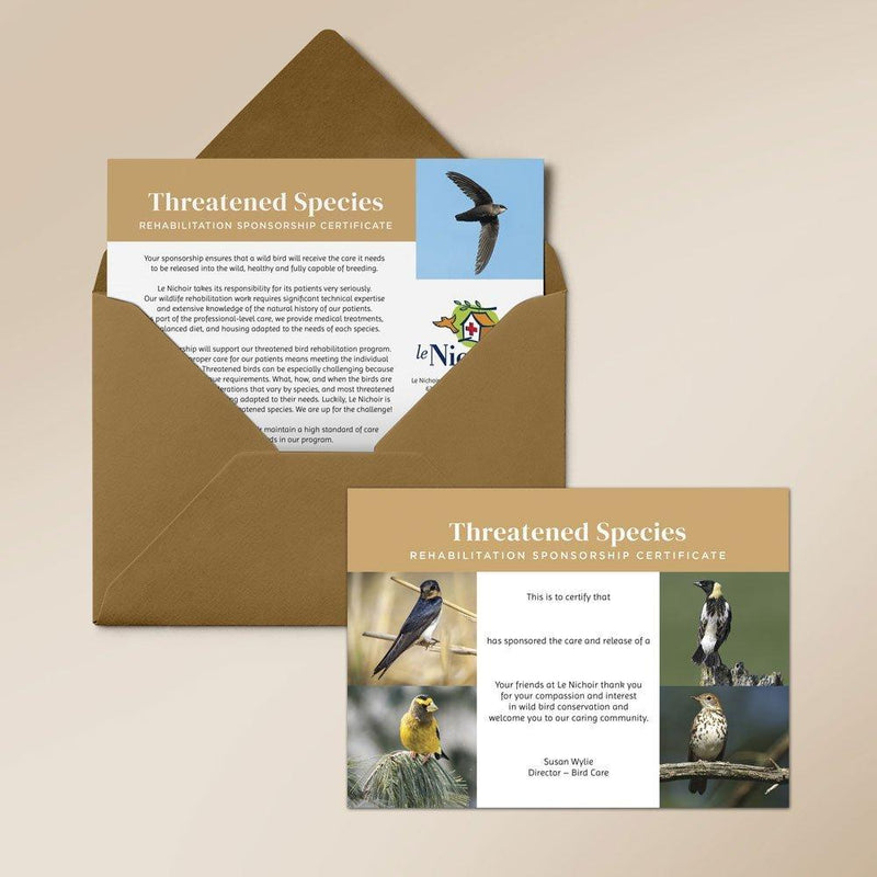 Threatened Species Sponsorship - Barn Swallow